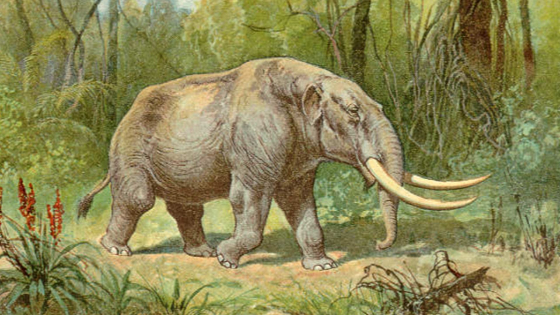 Mastodon