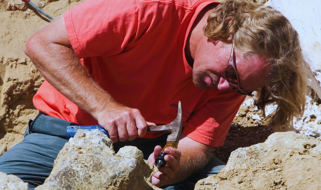 Gettyimages - 539890124, Ice Age Mammoth Remains Unearthed in Southern California 