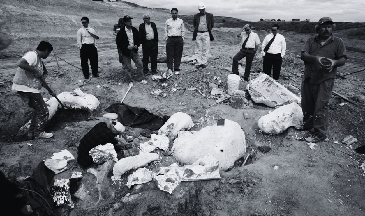 Gettyimages - 564045747, Mark Roeder, right, with Paleo Environmental Associates explains the find to Moorpark city officials. The large plaster covered mound in foreground is part of the skull 