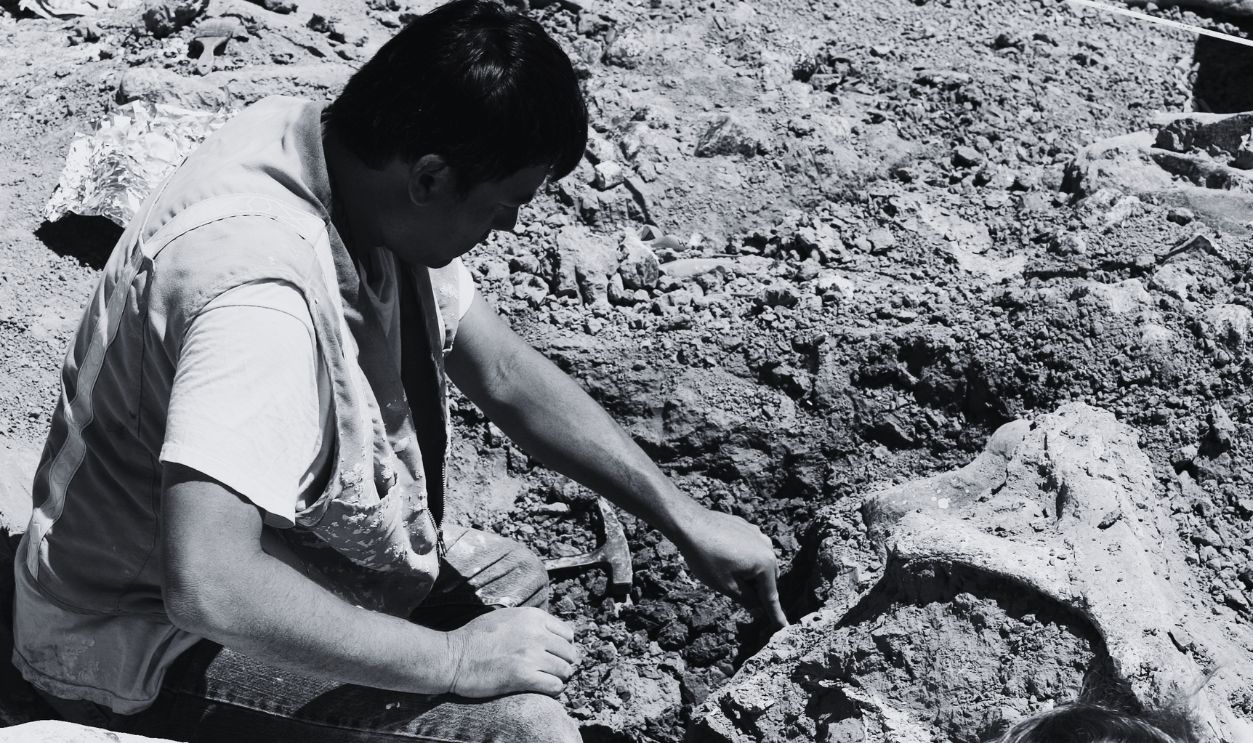 Gettyimages - 539890134, Ice Age Mammoth Remains Unearthed in Southern California 