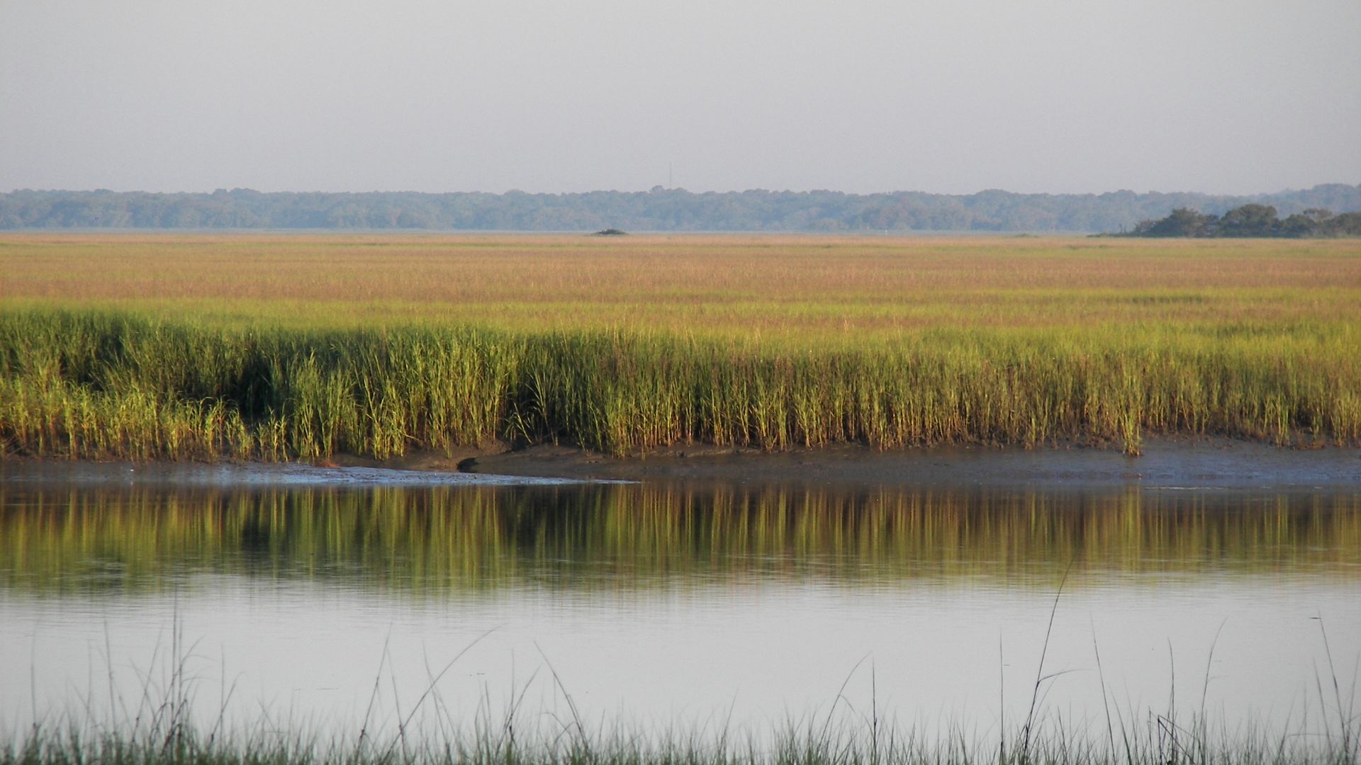 The marsh views from Hunting Island have become representative of the South Carolina Lowcountry.