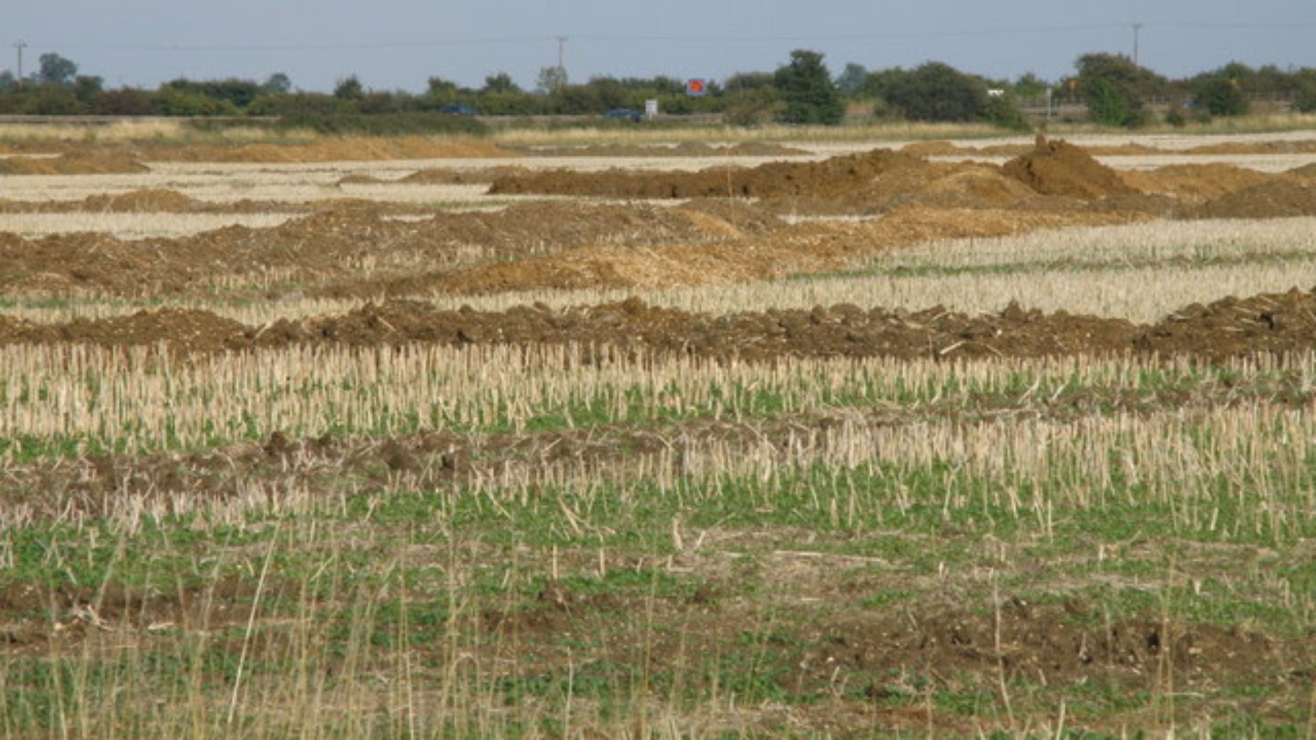 Field excavation near Fenstanton A series of pits have been dug for archeological interpretation. The reason being this may be the termination or entrance to the planned A14 link road, Ellington to Fen Drayton. It is not clear at the time of writing wheth