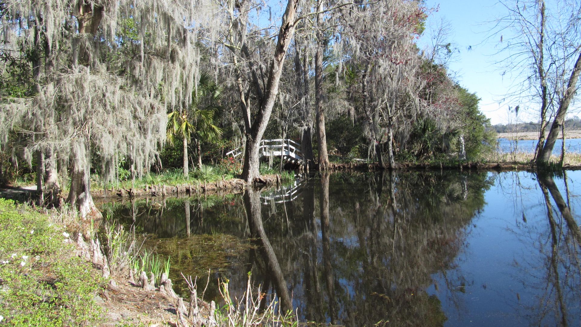 Magnolia Plantation and Gardens - Charleston, South Carolina

The Magnolia Plantation and Gardens in Charleston, South Carolina.