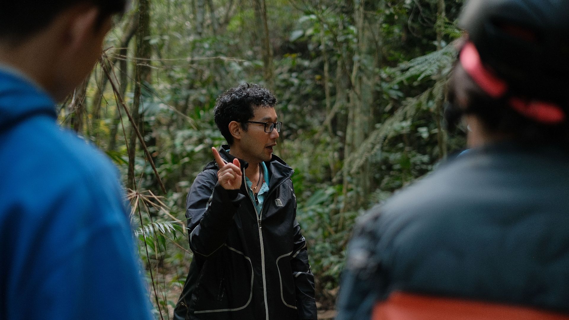 A guide leading a group of people on an informative nature walk in a dense forest.