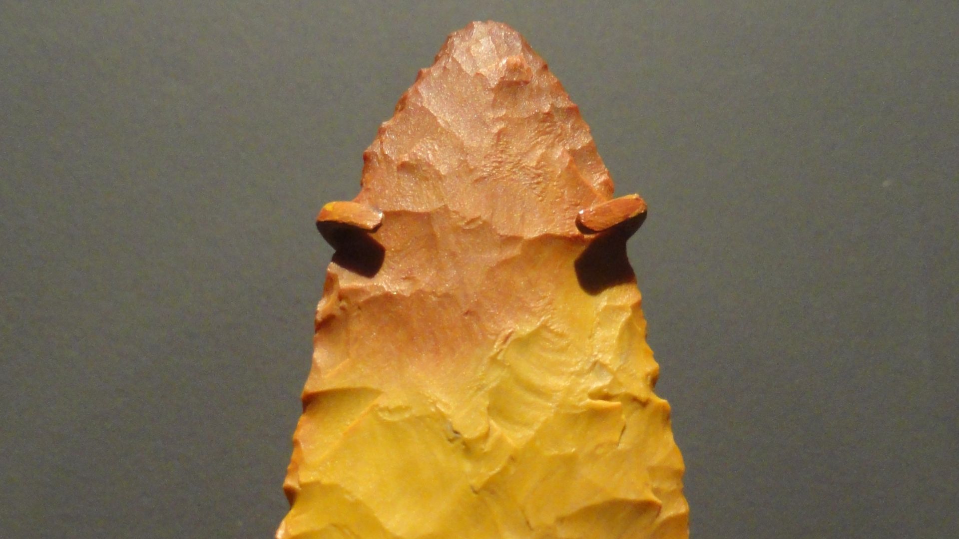 Exhibit in the Natural History Museum of Utah, Salt Lake City, Utah, USA. Photography was permitted in the museum without restriction.