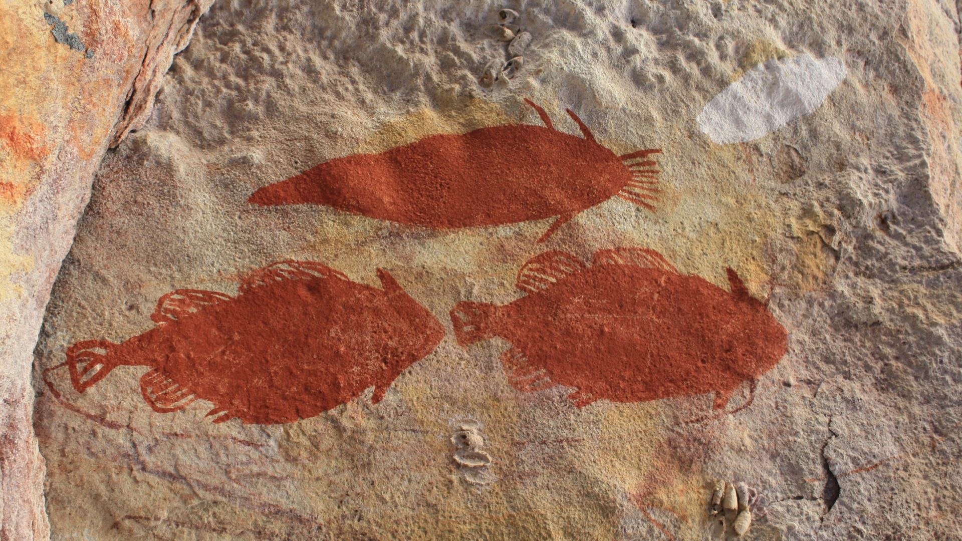 File:Red ochre fish - Google Art Project.jpg