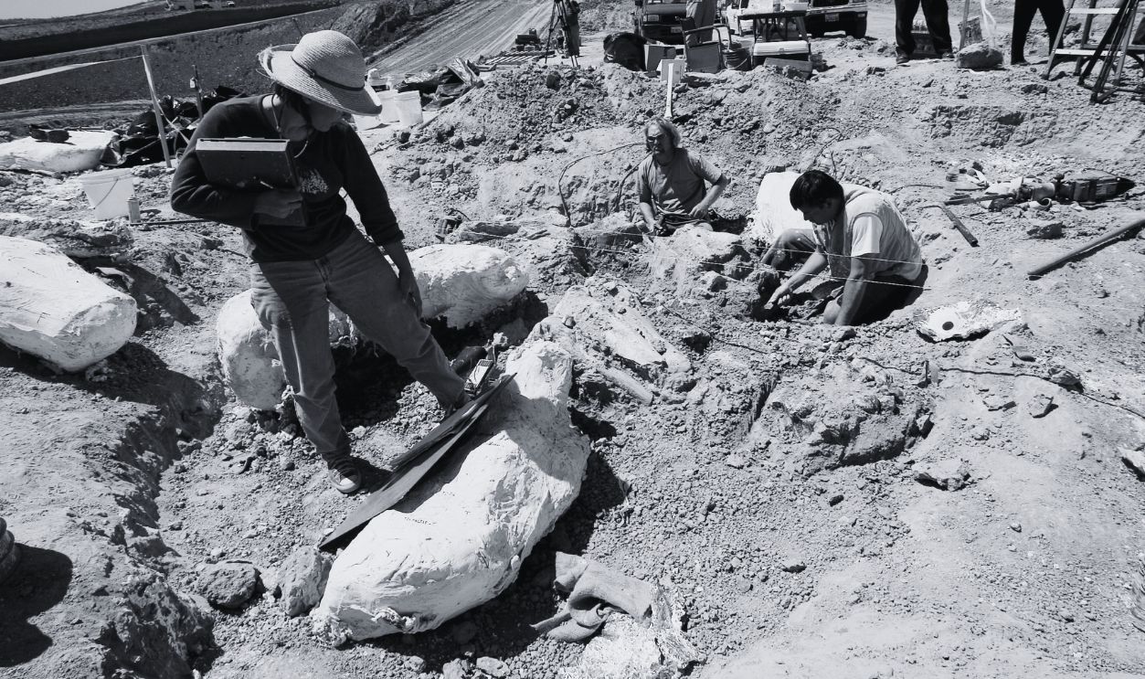 Gettyimages - 539890130, Ice Age Mammoth Remains Unearthed in Southern California 