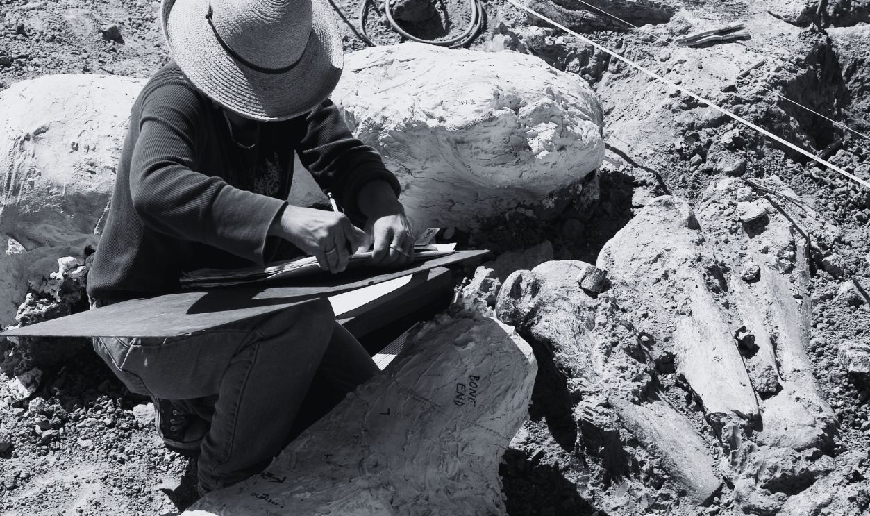 Gettyimages - 539890128, Ice Age Mammoth Remains Unearthed in Southern California 