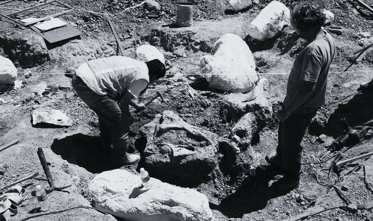 Gettyimages - 541778534, Ice Age Mammoth Remains Unearthed in Southern California 