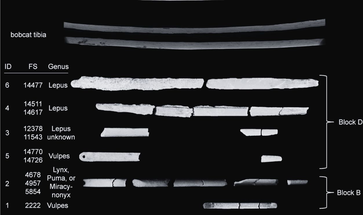 bone needles