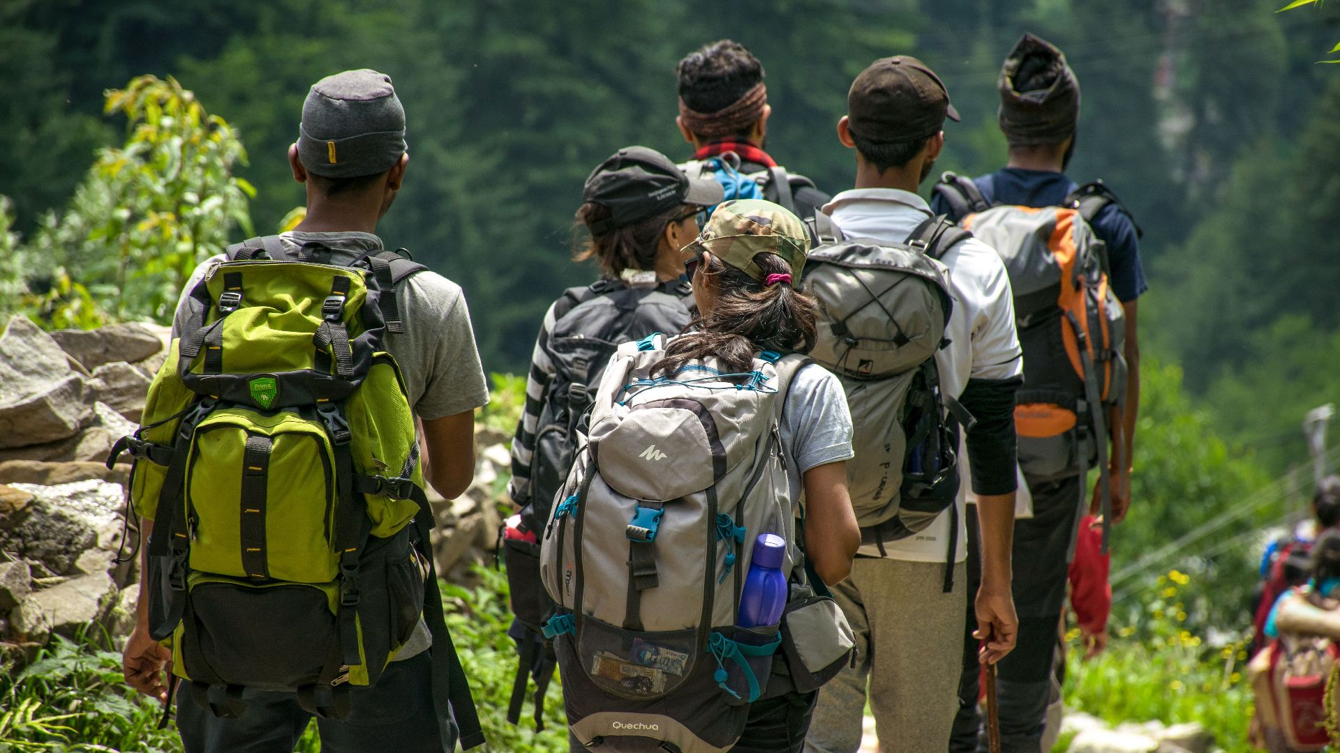 An adventurous group hike in a lush forest setting with vibrant green surroundings.