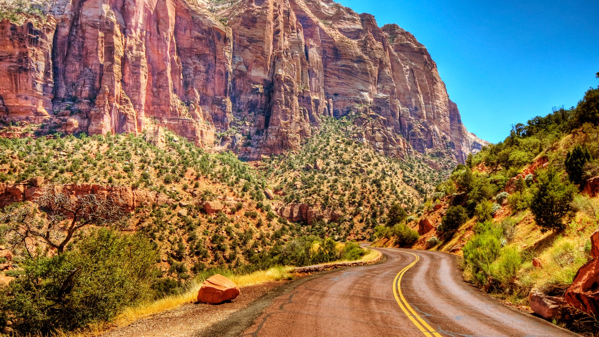 A road in Zion National Park 

Get a large view!