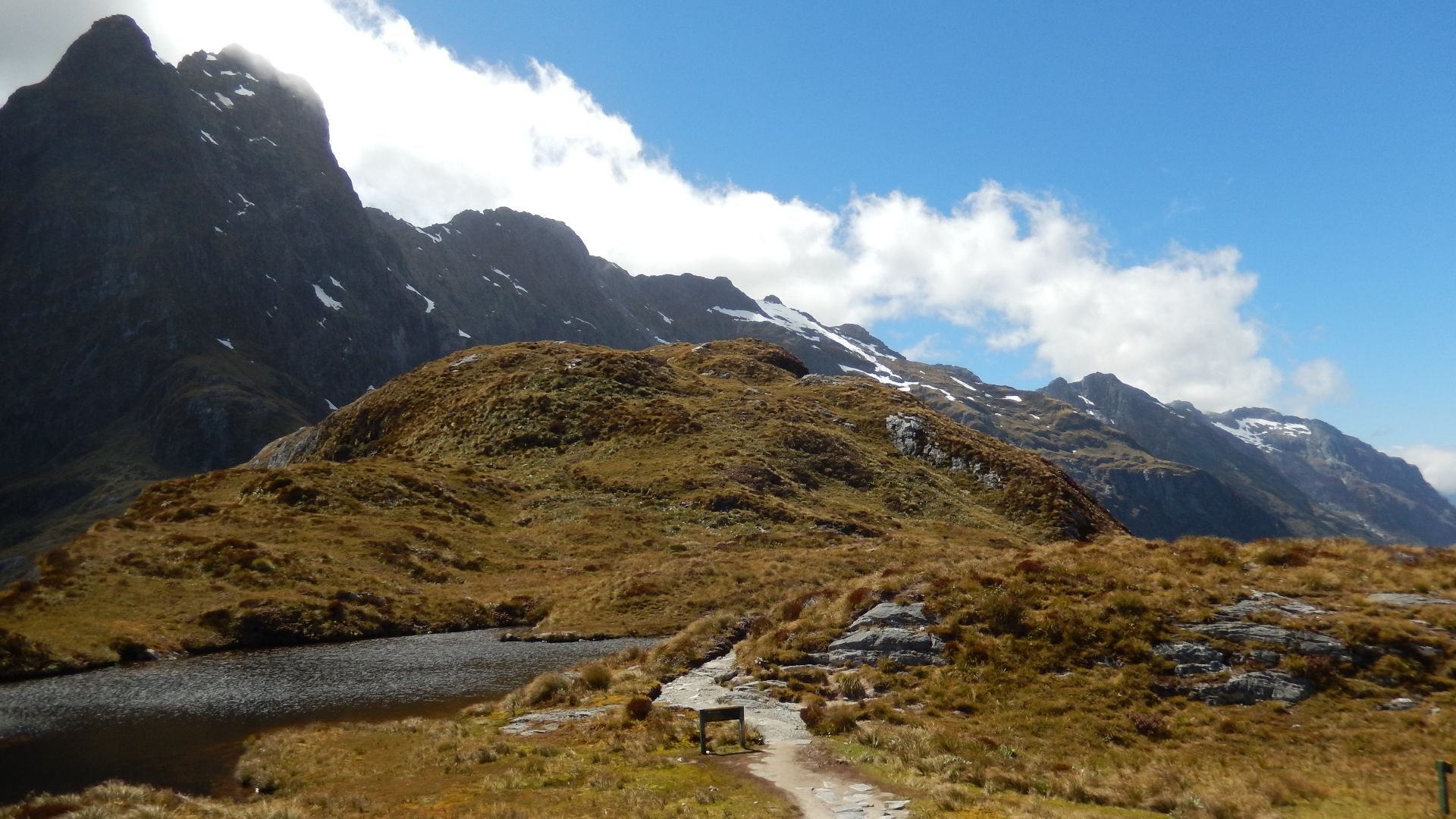 Track near the summit of the Mackinnon Pass on the Milford Track.