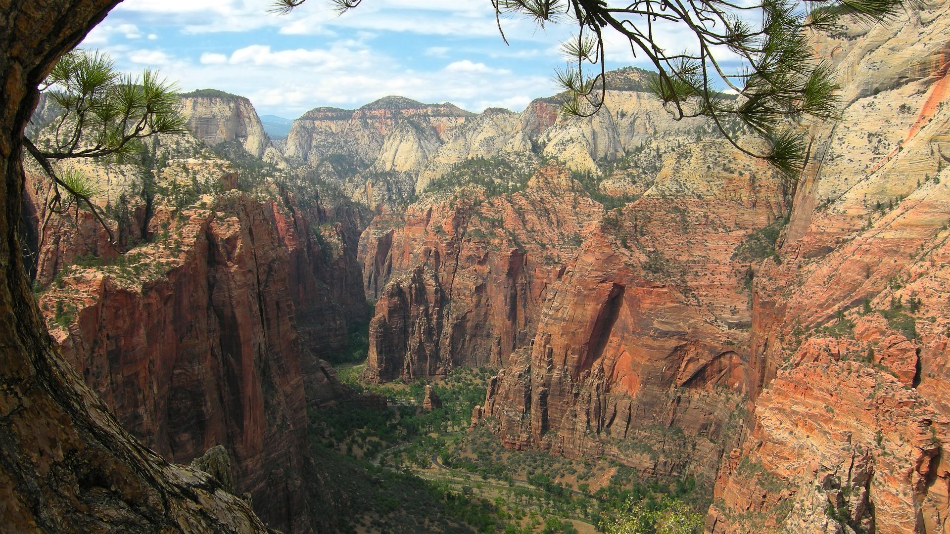 breathtaking view from the Angels Landing trail looking northward to the Narrows, Zion National Park, Utah, USA.