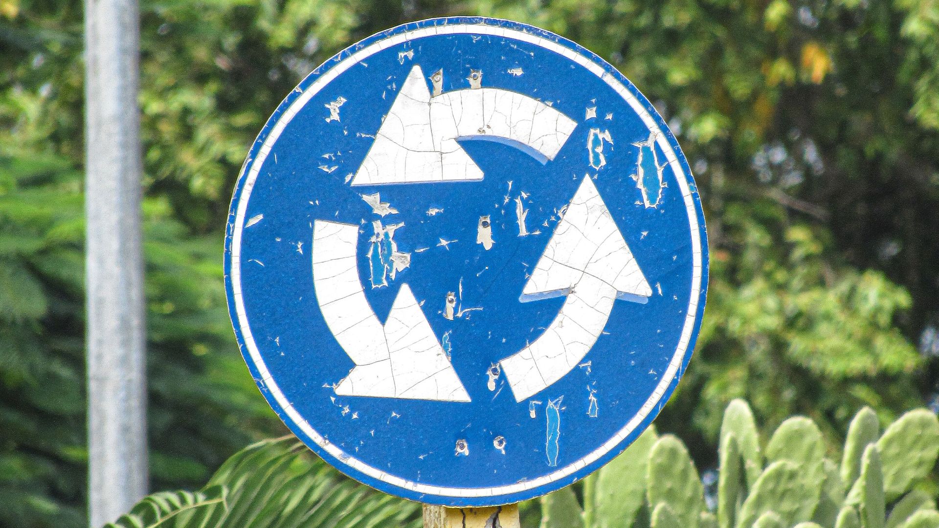 Old roundabout sign against green foliage, showcasing urban decay.
