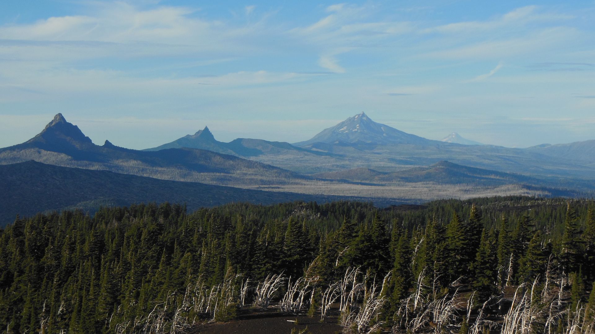 Four peaks of the Cascade Range in Oregon (looking north from an area just north of North Sister): Mount Washington, Three Fingered Jack, Mount Jefferson, and Mount Hood