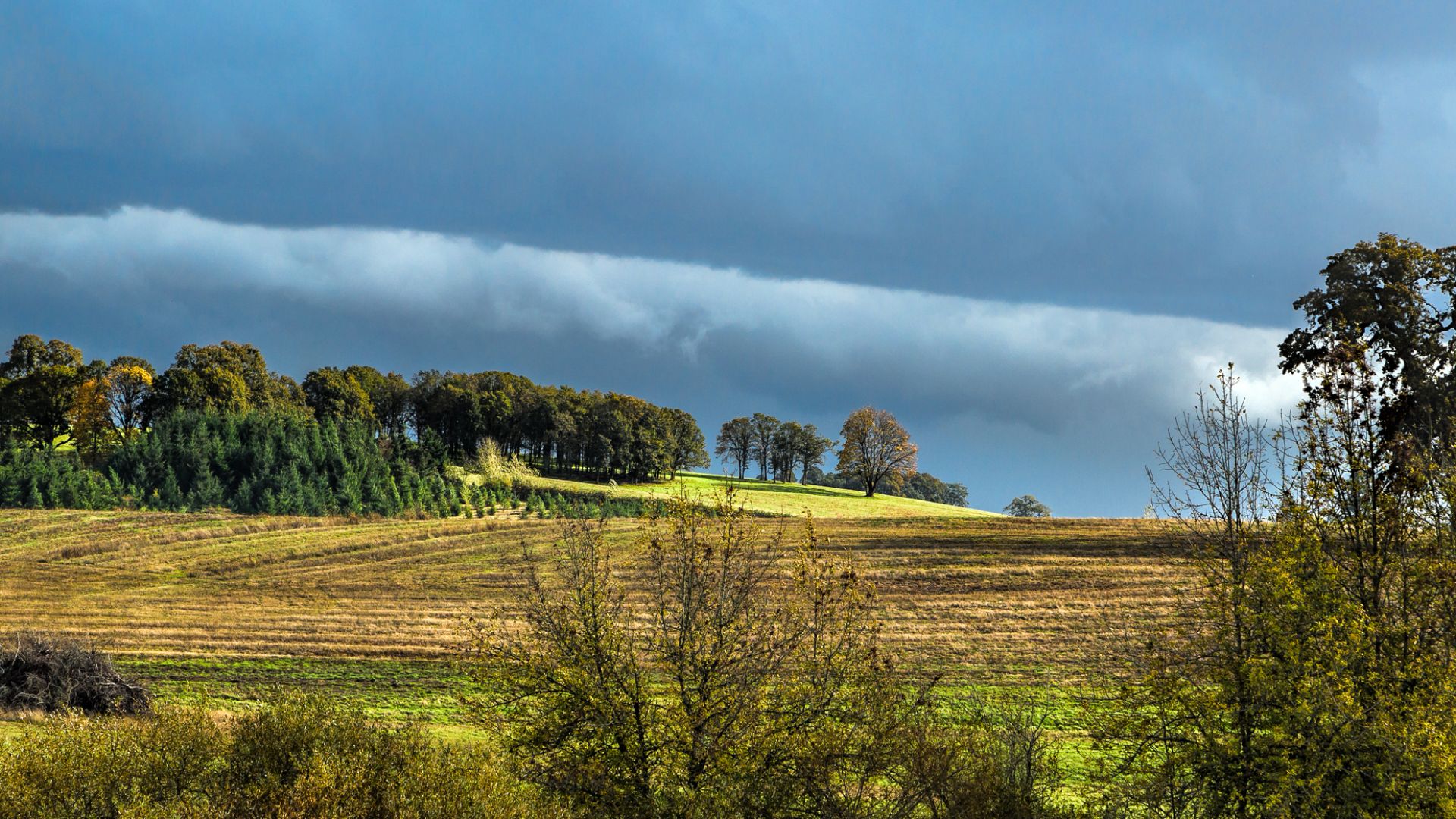 A late afternoon sun break on an otherwise gloomy day. Taken a few miles south of my home in Salem, Oregon.