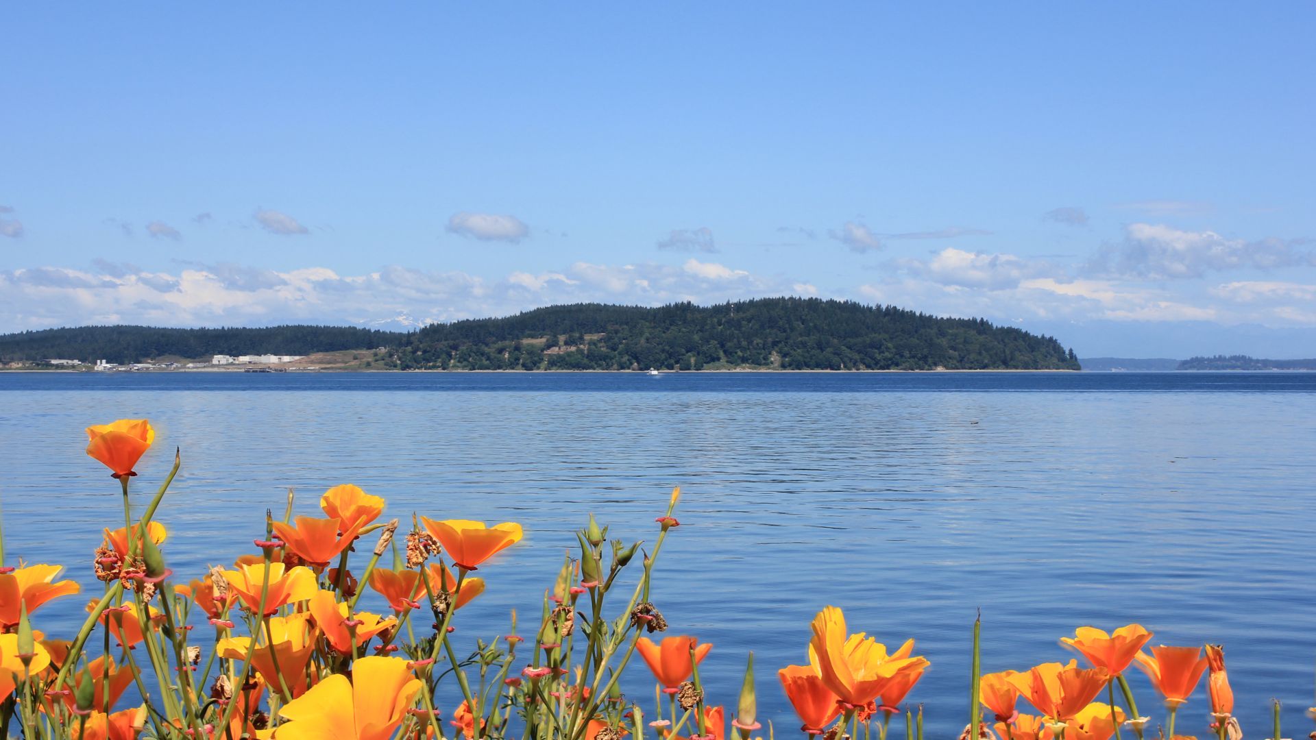A view of Anderson Island and the Puget Sound from Steilacoom, Washington.