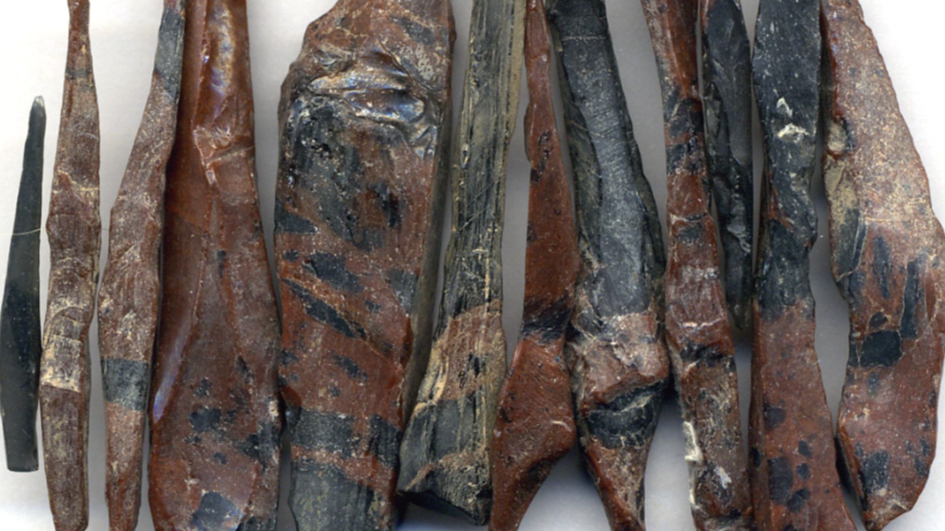 Splintery obsidian from Oregon, USA.
Igneous rocks form by the cooling & crystallization of hot, molten rock (magma & lava).  If this happens at or near the land surface, or on the seafloor, they are extrusive igneous rocks.  If this happens deep undergro
