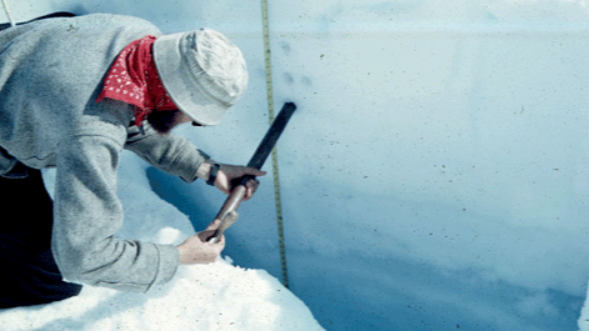 A scientist collecting snow and ice samples from the wall of a snow pit. Fresh snow can be seen at the surface and en:glacier ice at the bottom of the pit wall. The snow layers are composed of progressively denser en:firn. Taku Glacier, Juneau Icefield, e