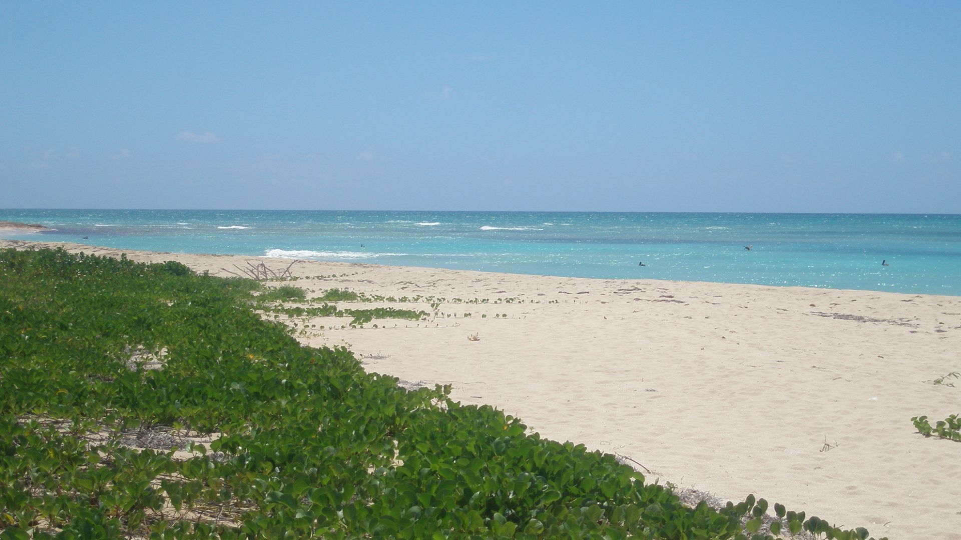 The beach at Sandy Point National Wildlife Refuge