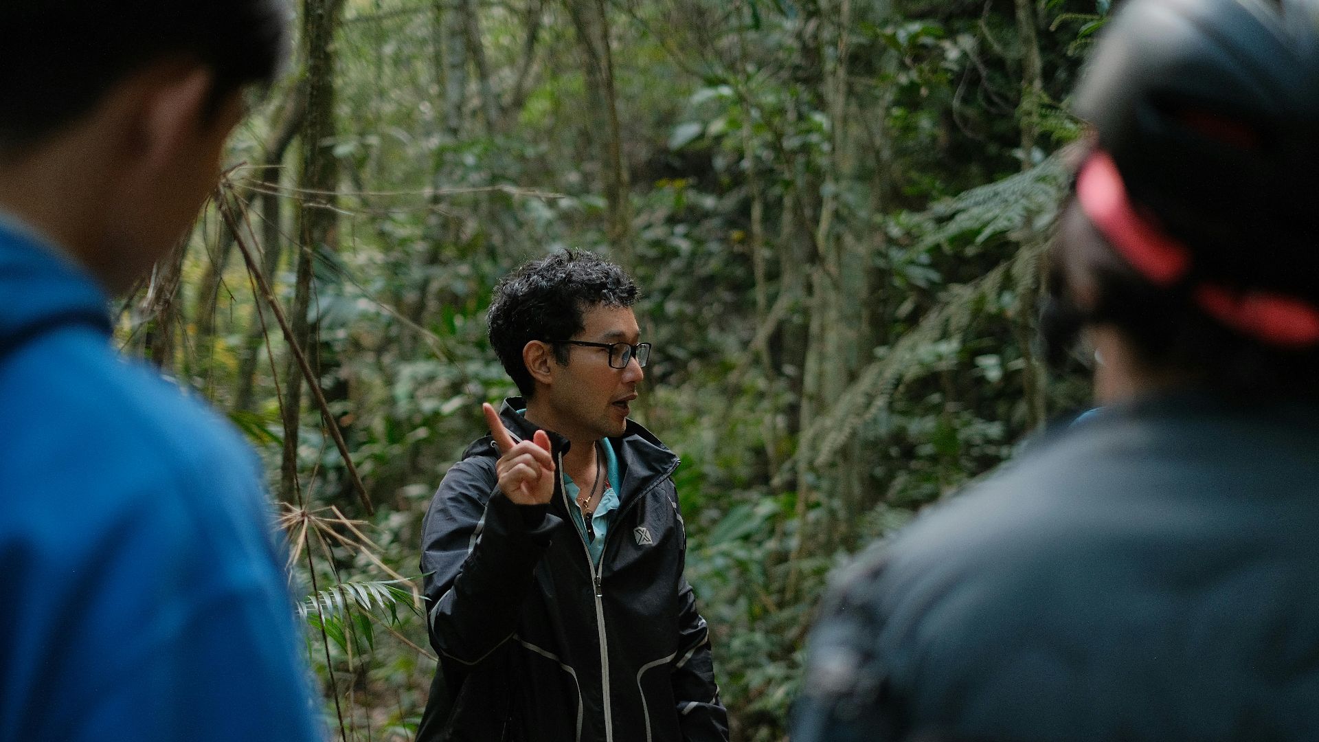 A guide leading a group of people on an informative nature walk in a dense forest.