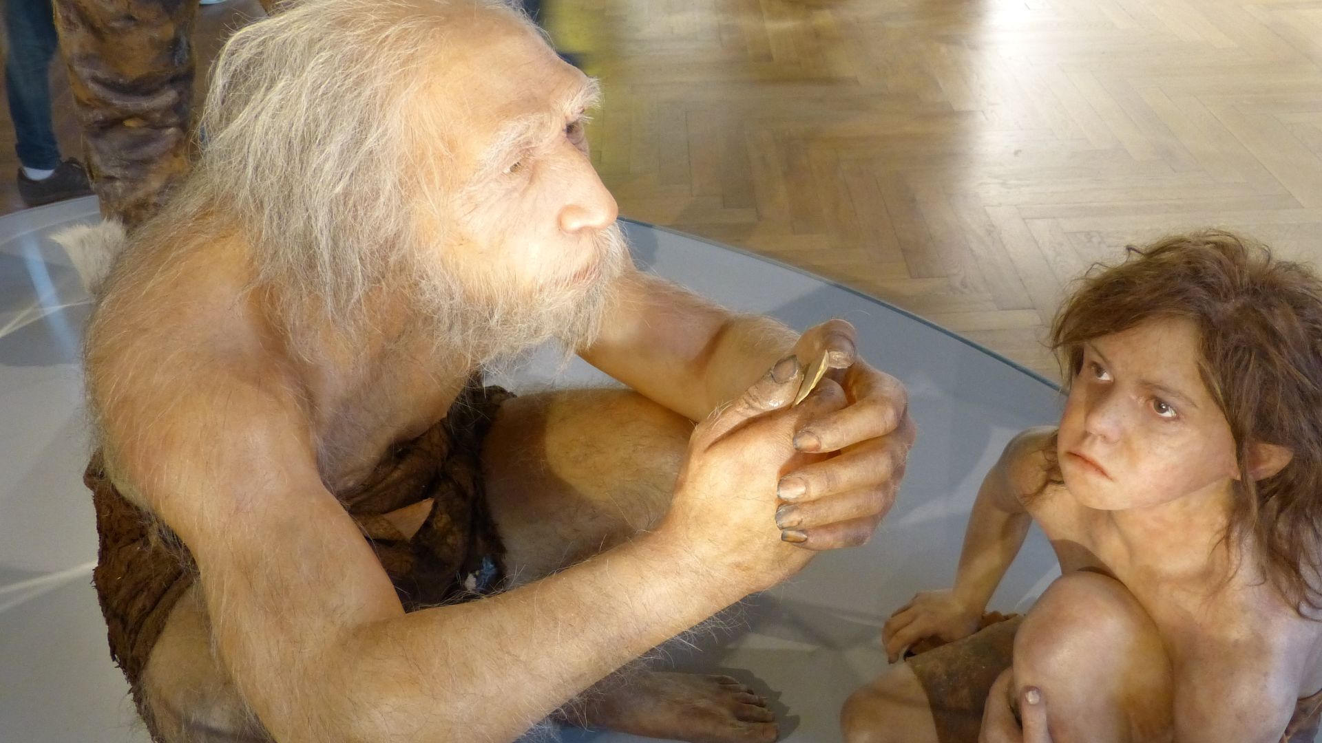 Natural History Museum, Vienna ( Austria ). Soft tissue reconstruction of a male homo neanderthalensis ( La-Chapelle-aux-Saints 1, , France ) with child ( Gibraltar 2, Devil's Tower, UK )