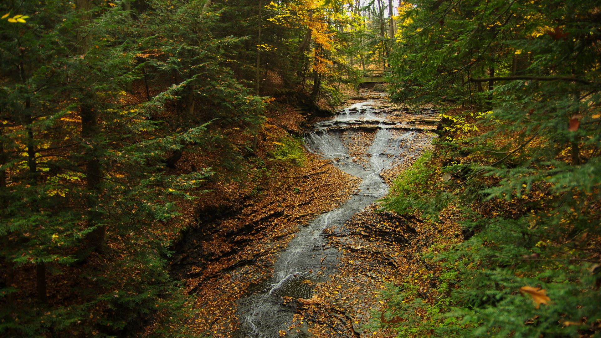 Cuyahoga Valley National Park, Ohio
