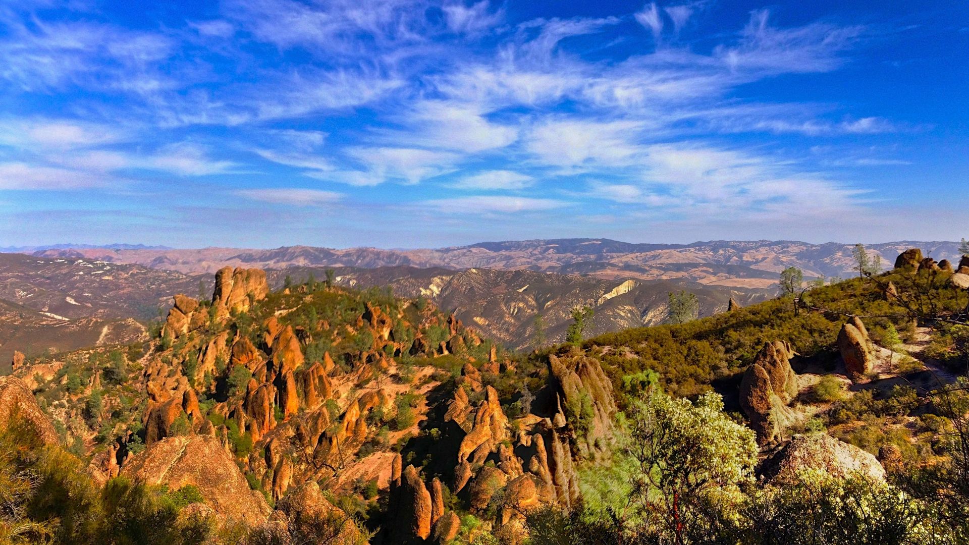 Panoramic view