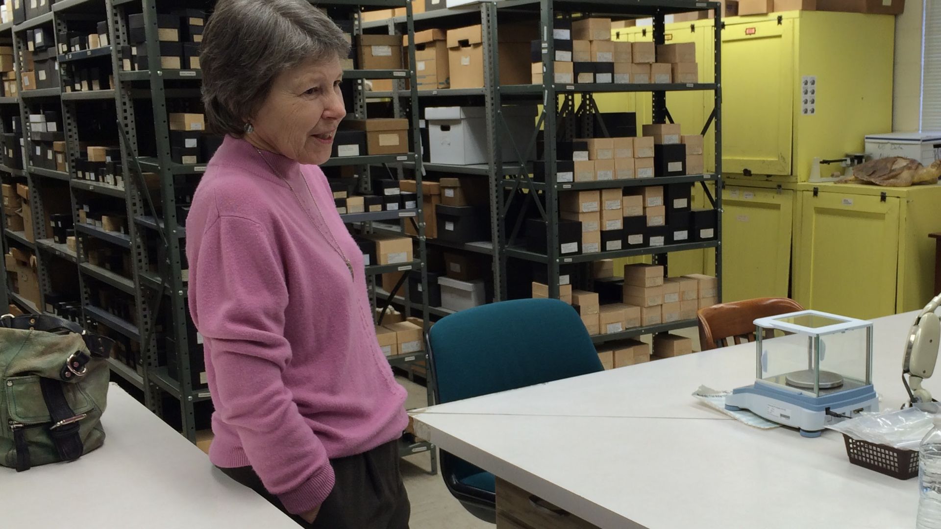 Dr. Elizabeth Reitz standing in the zooarchaeology laboratory in the Georgia Museum of Natural History, where she is faculty.