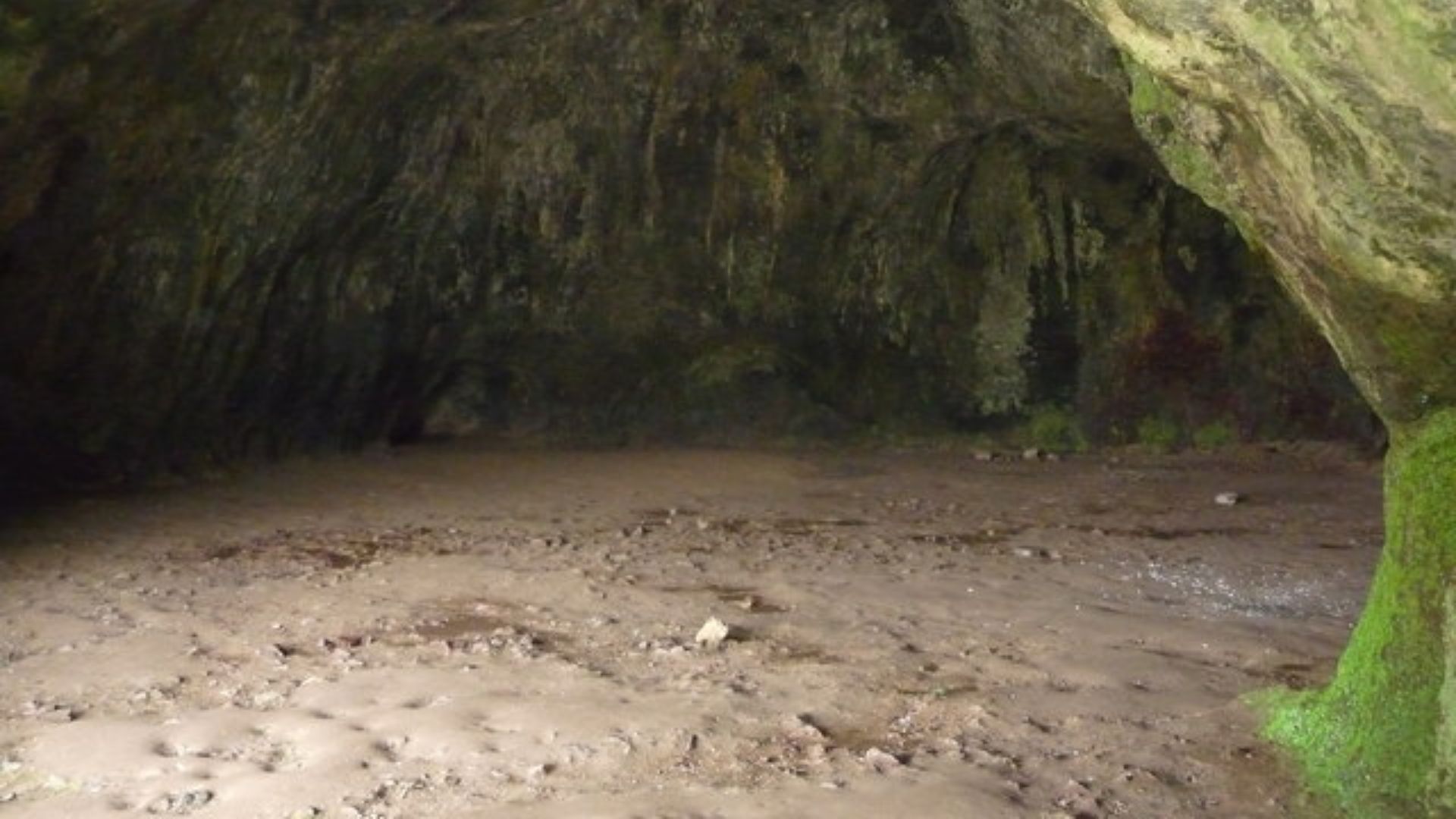 The Wogan Cavern under Pembroke Castle