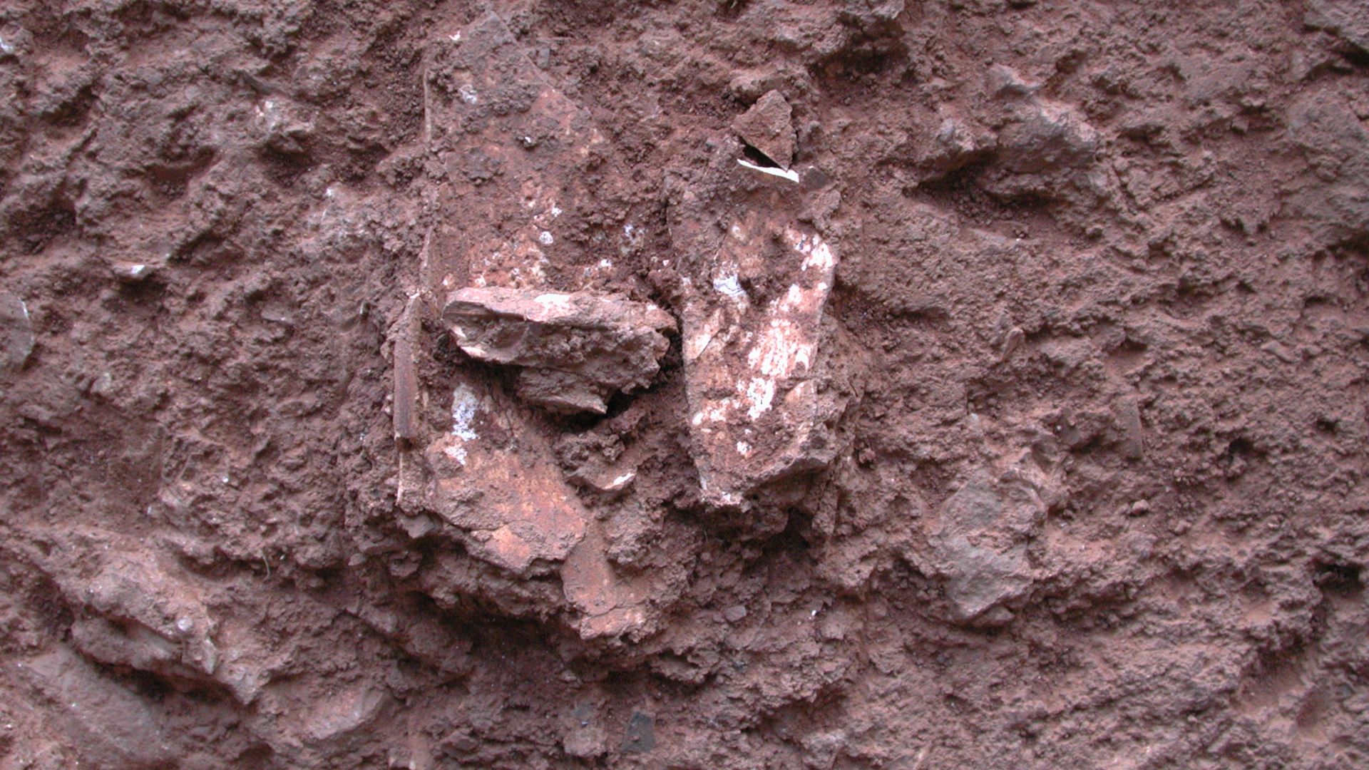 Kalamakia cave excavations in 2001