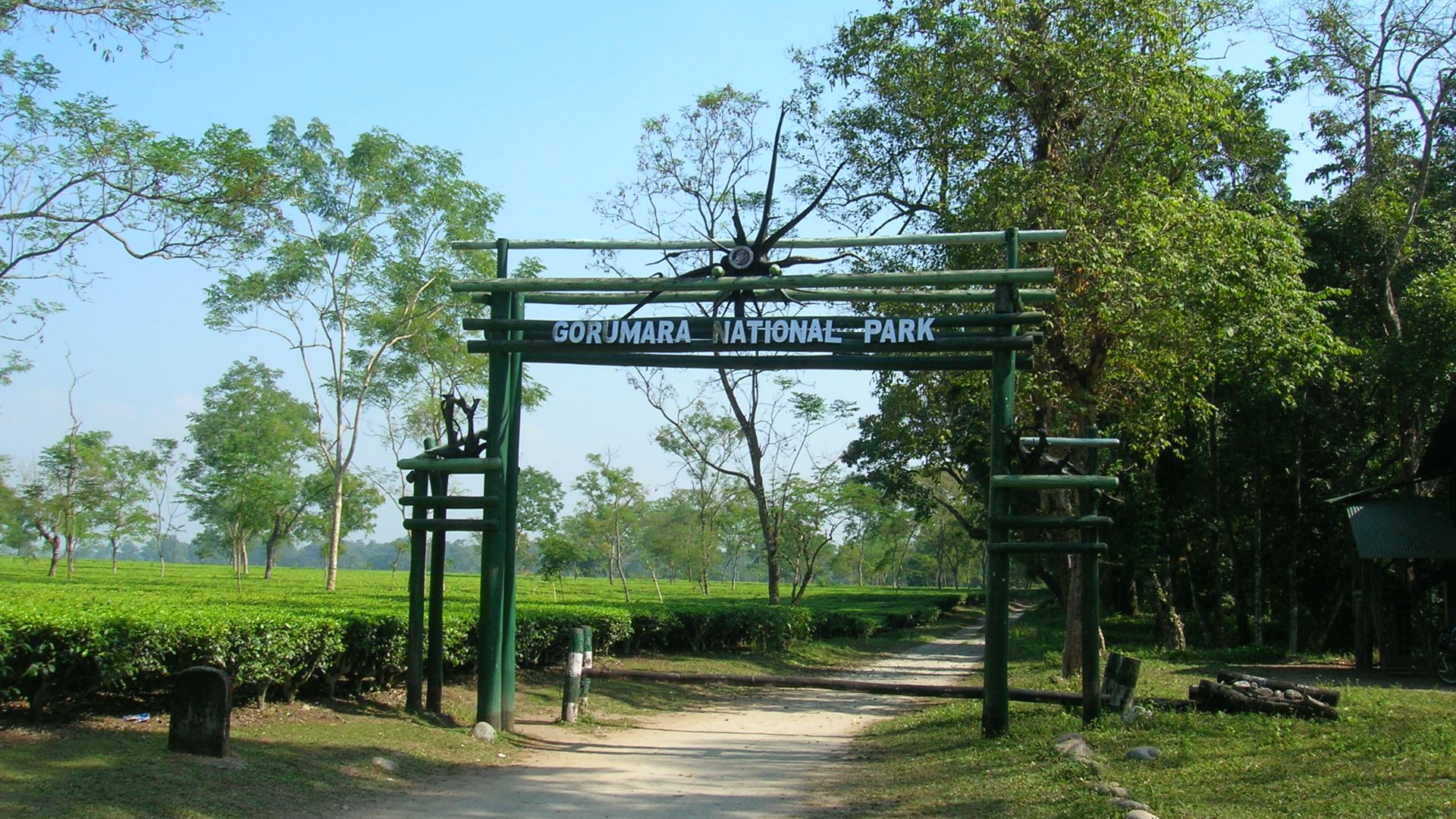 Gateway of Gorumara National Park
