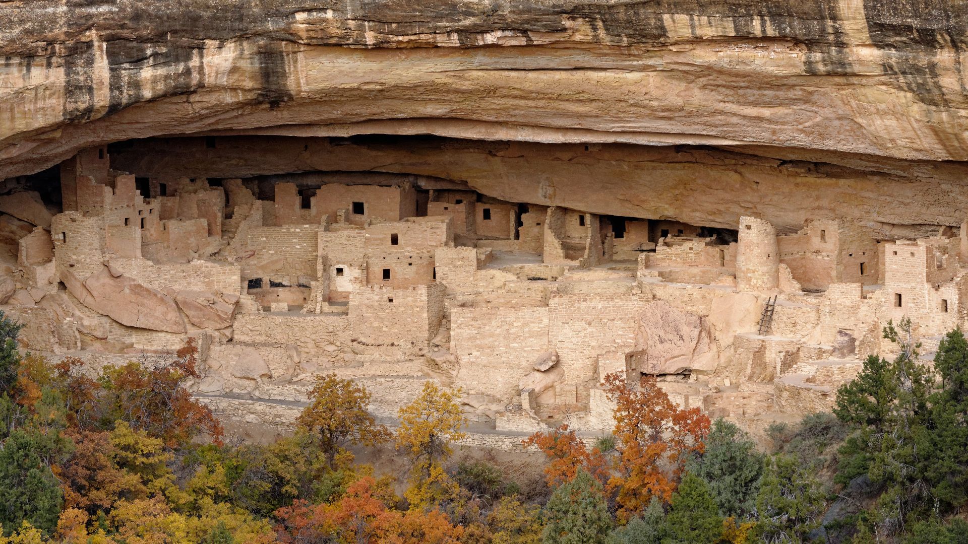 Cliff Palace in Mesa Verde National Park, Colorado, U.S.