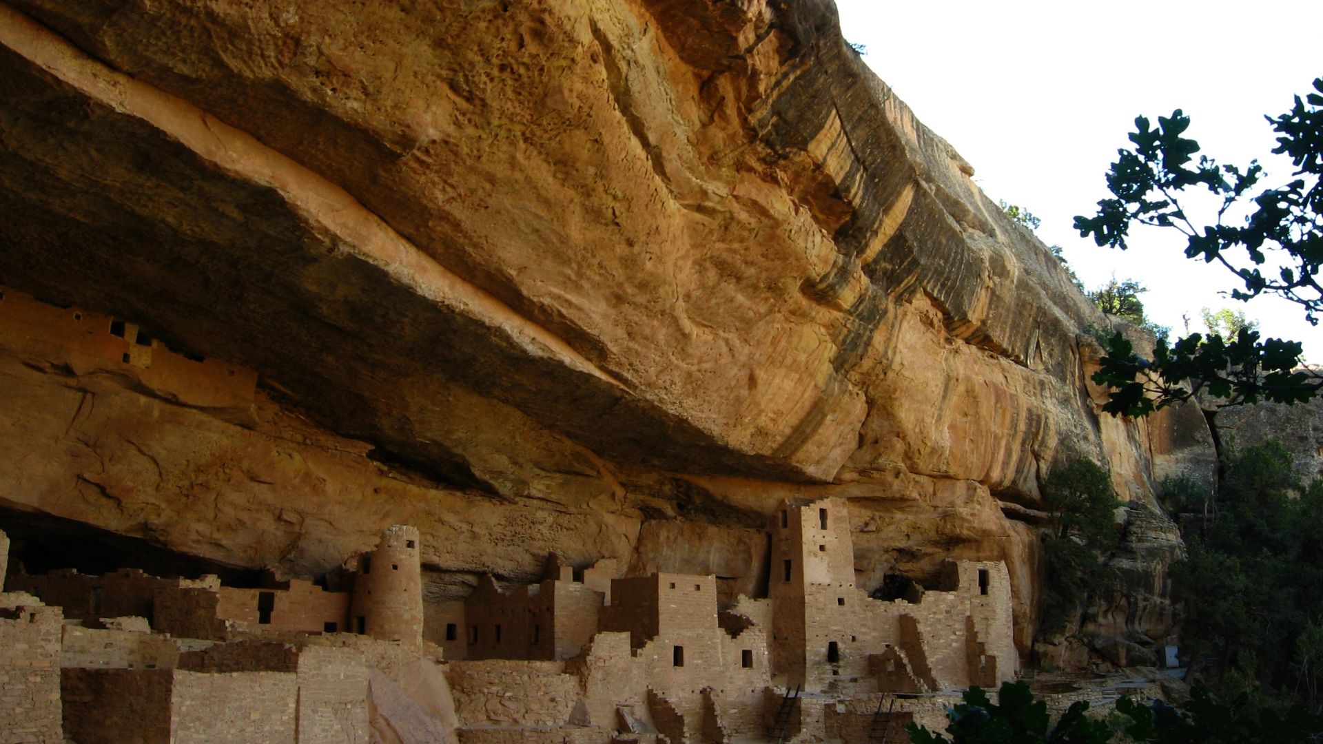 The Cliff Palace guided tour is a must-do at Mesa Verde National Park. Although you can get a great view of Cliff Palace without taking the tour, the tour makes it so much better.  
Cliff Palace is the largest cliff dwelling in North America. The Ancient 