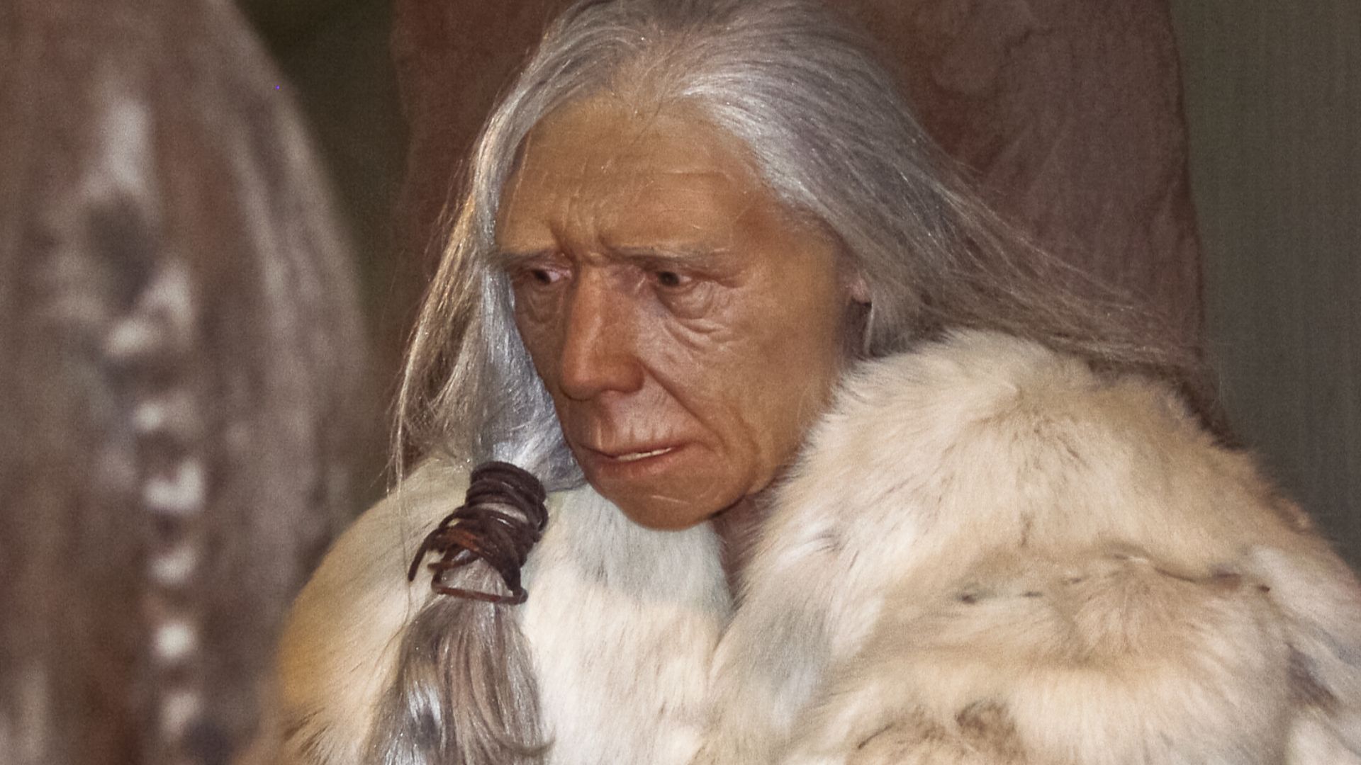 Figürliche Darstellung einer alten Neandertaler-Frau im Neandertal-Museum, Erkrath