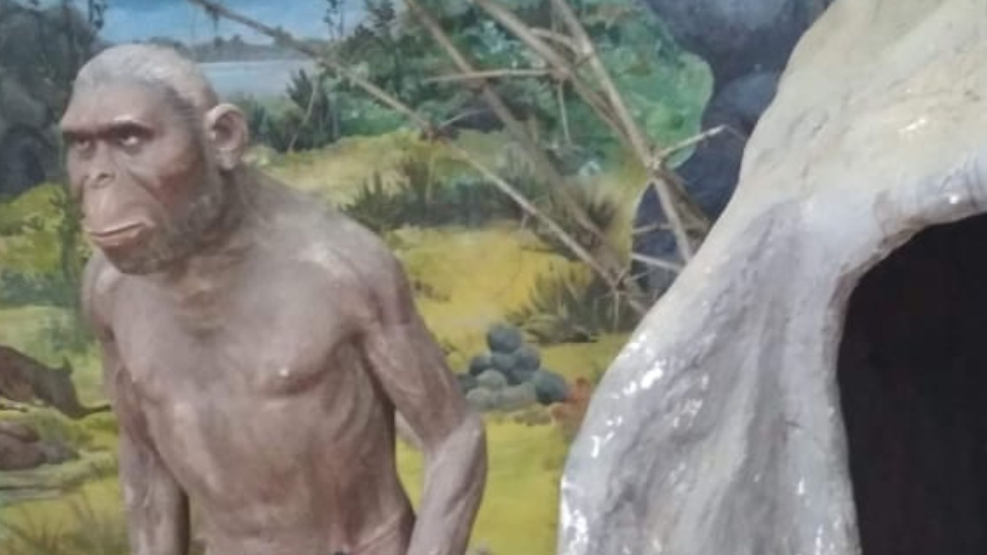 Homo sapiens is the only extant human species. The name is Latin for 'wise man' and was introduced in 1758 by Carl Linnaeus. Extinct species of the genus Homo include Homo erectus, extant from roughly 1.9 to 0.4 million years ago, and a number of other sp