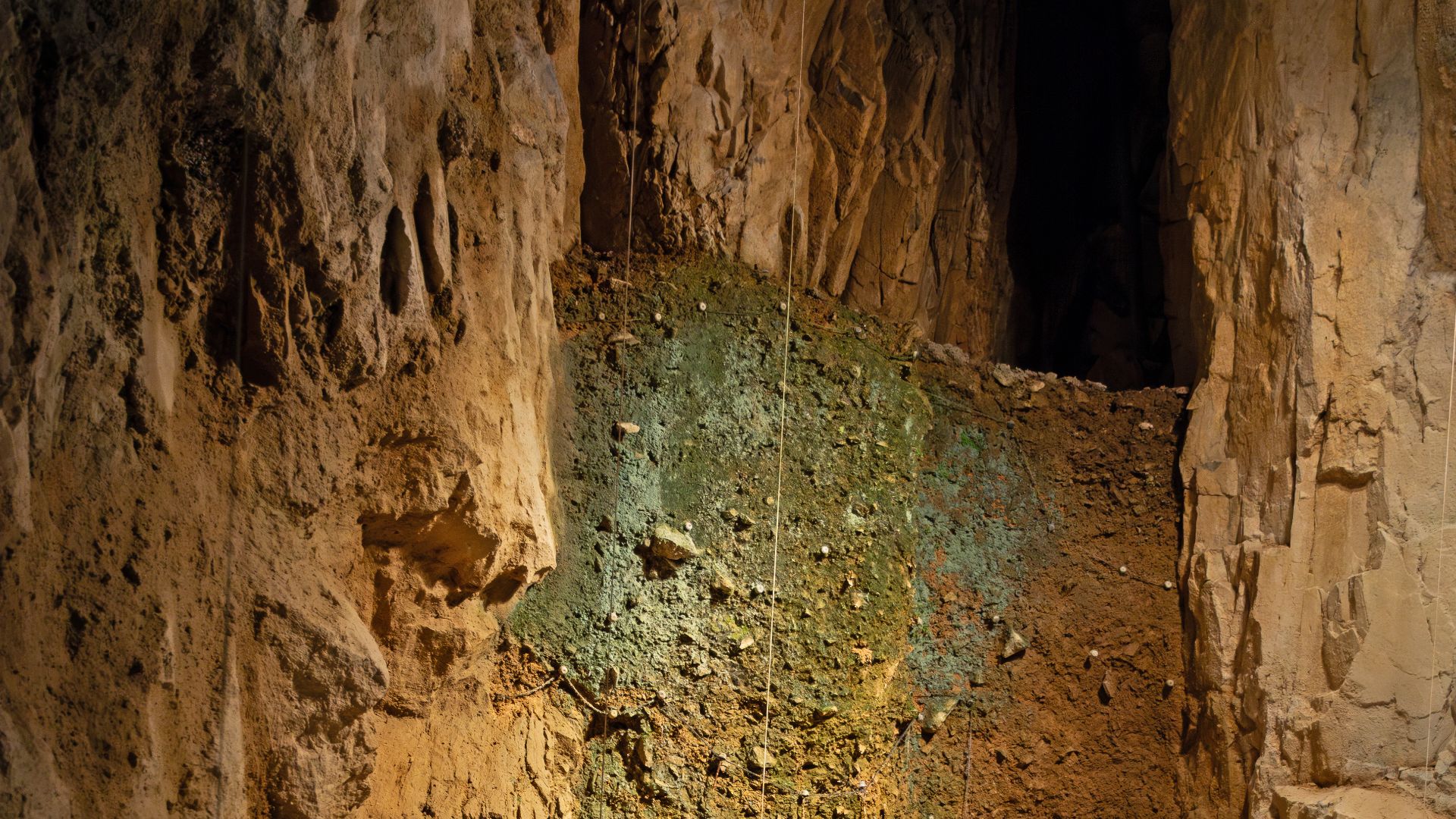 Ein Referenzprofil in den Grottes de Goyet bei Namur in Belgien.