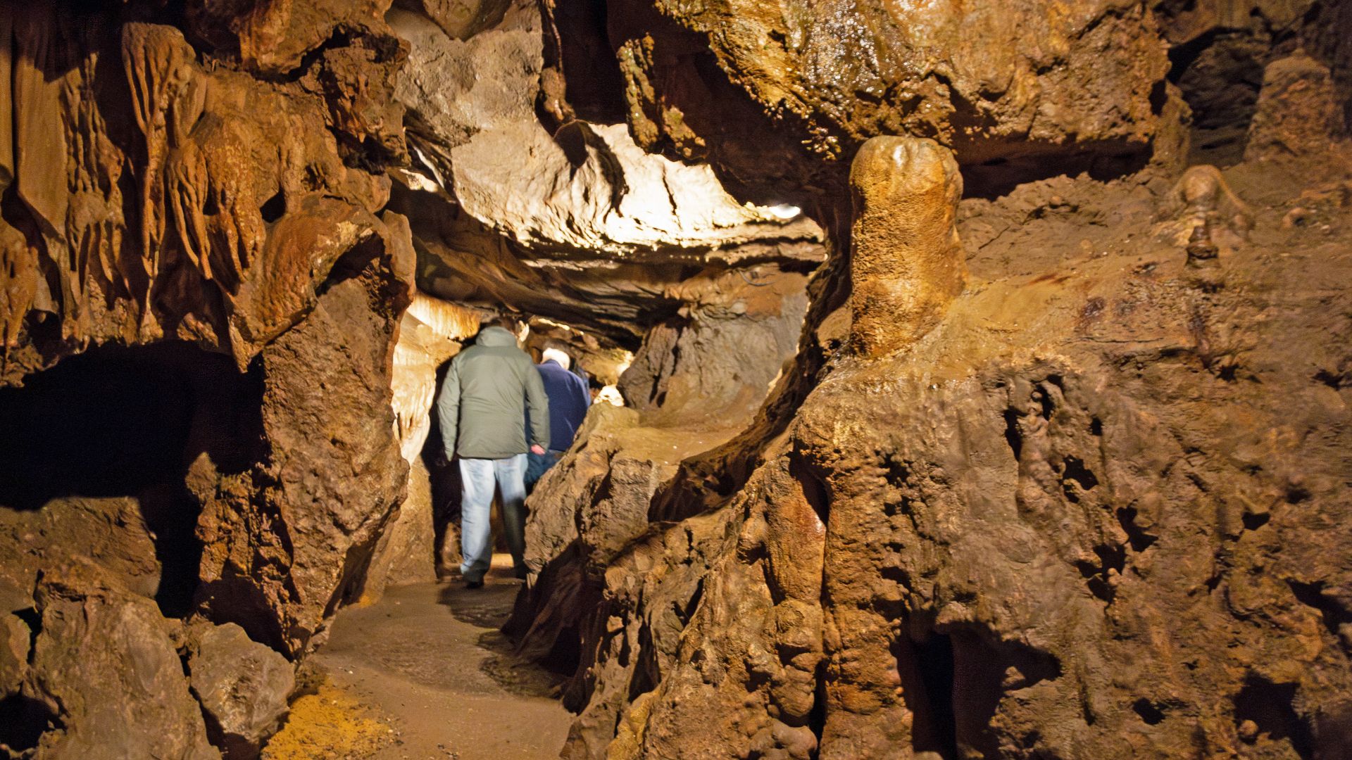 In den Grottes de Goyet bei Namur in Belgien.