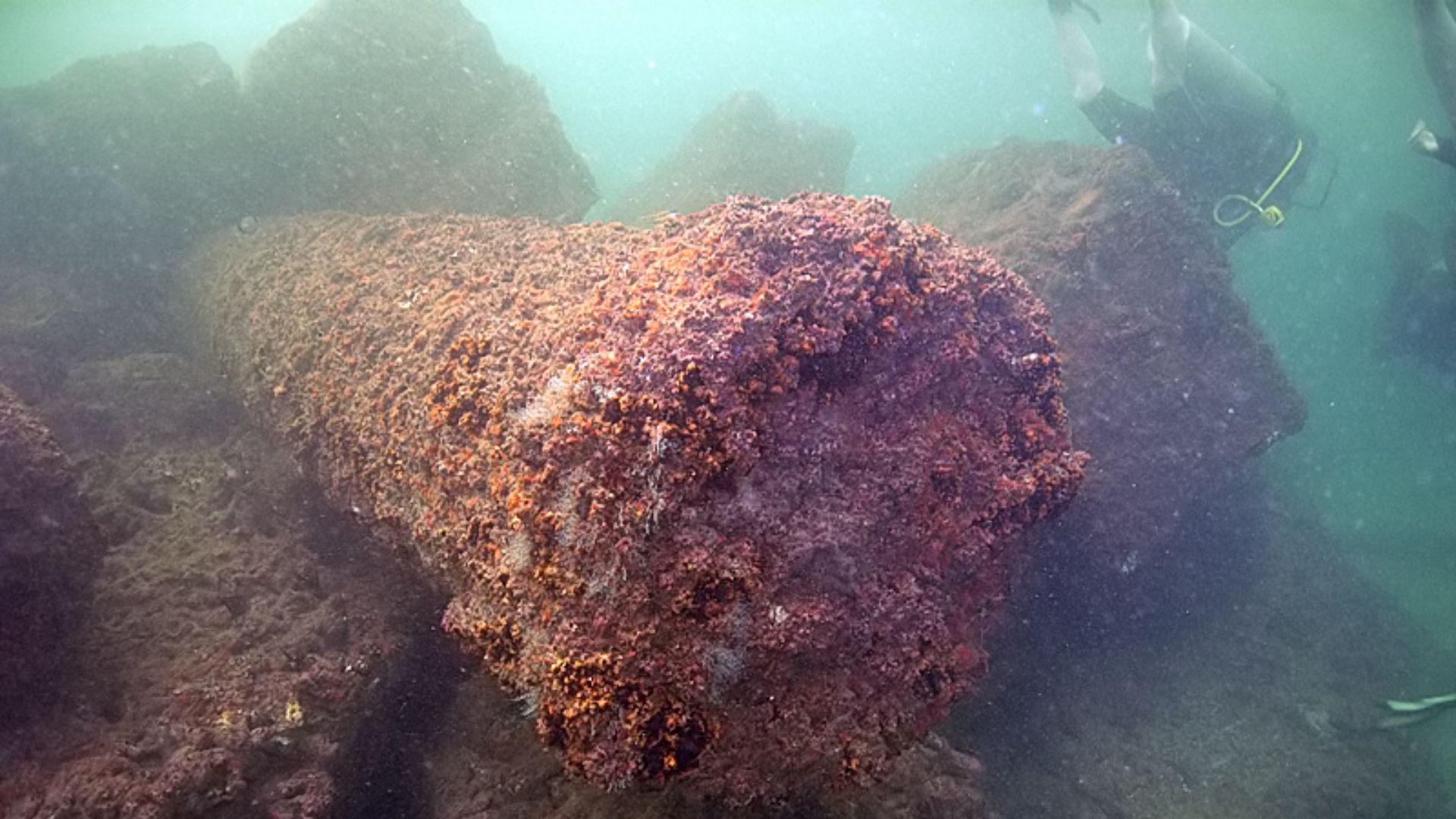Columns at the underwater museum near the former lighthouse, Alexandria, Egypt