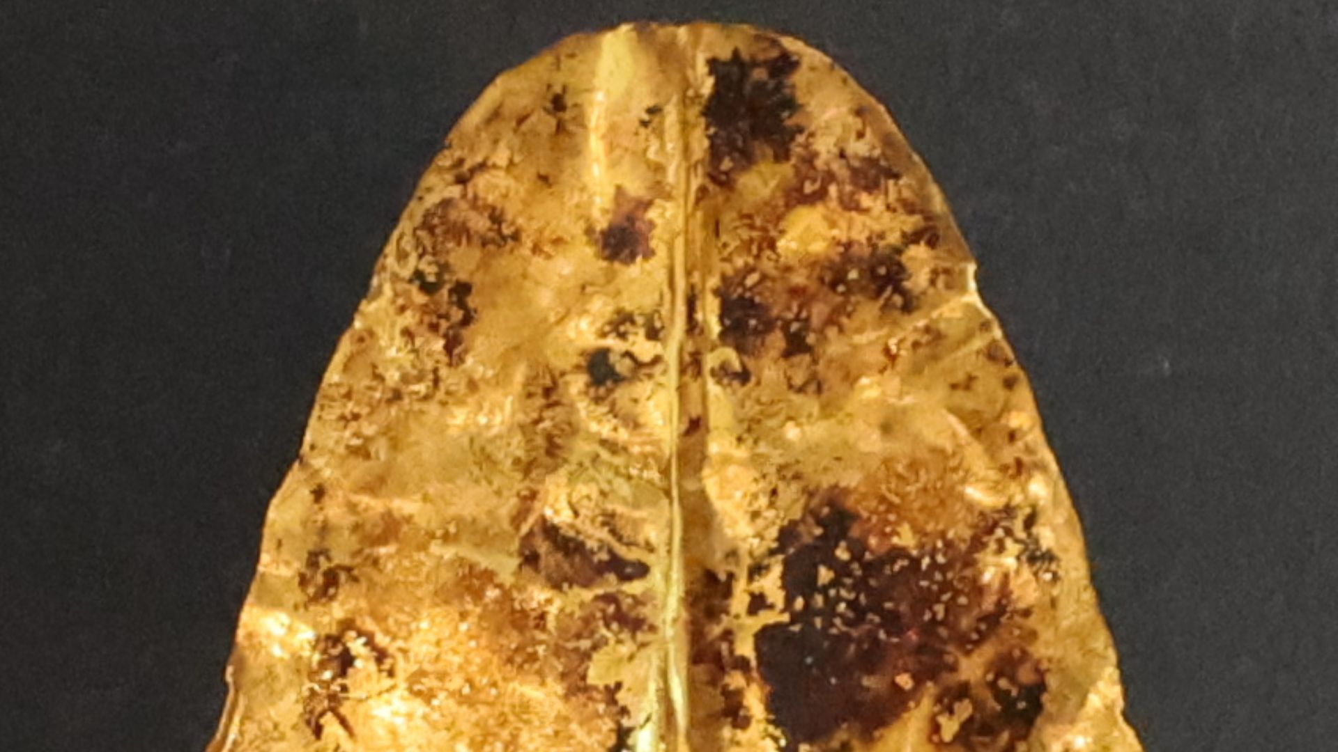Photo of a Gold tongue amulet or Tongue Cover-Plate from hawara