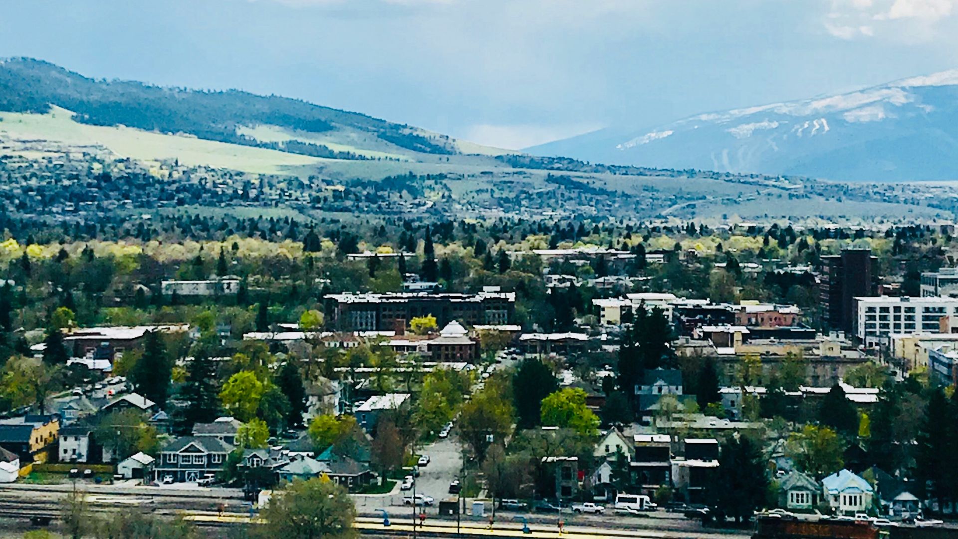 green leafed trees and concrete buildings under white clouds