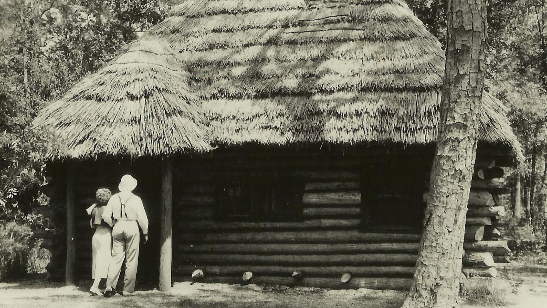 From PhC.184 Massengill Postcard Collection, August 2015 addition, State Archives of North Carolina, Raleigh, NC.