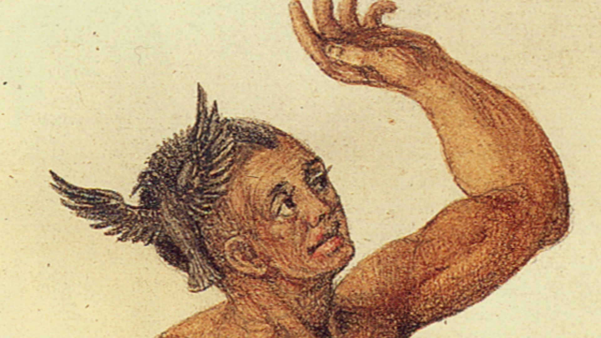 The flyer, Man of the Secotan Indians in North Carolina. Watercolour painted by John White in 1585. [1]
