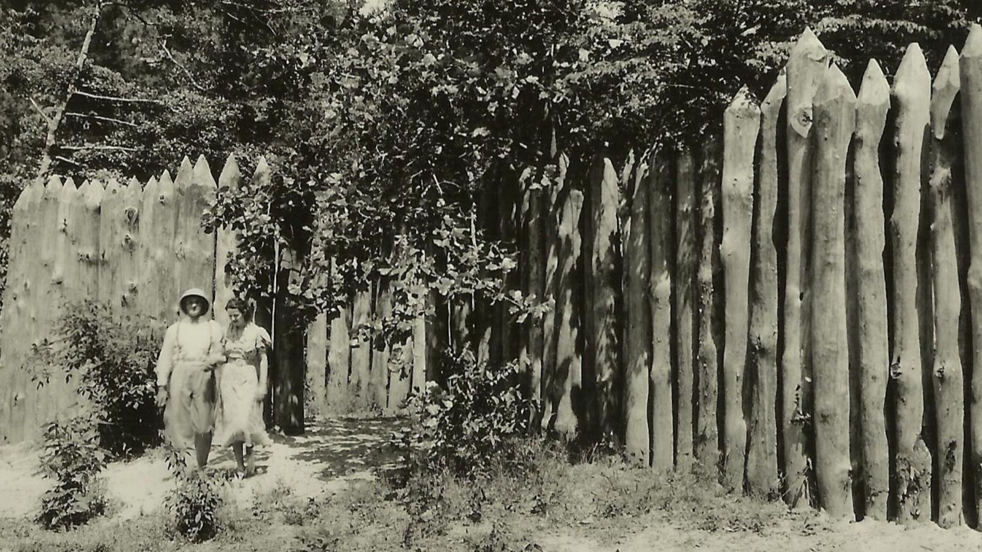 From PhC.184 Massengill Postcard Collection, August 2015 addition, State Archives of North Carolina, Raleigh, NC.