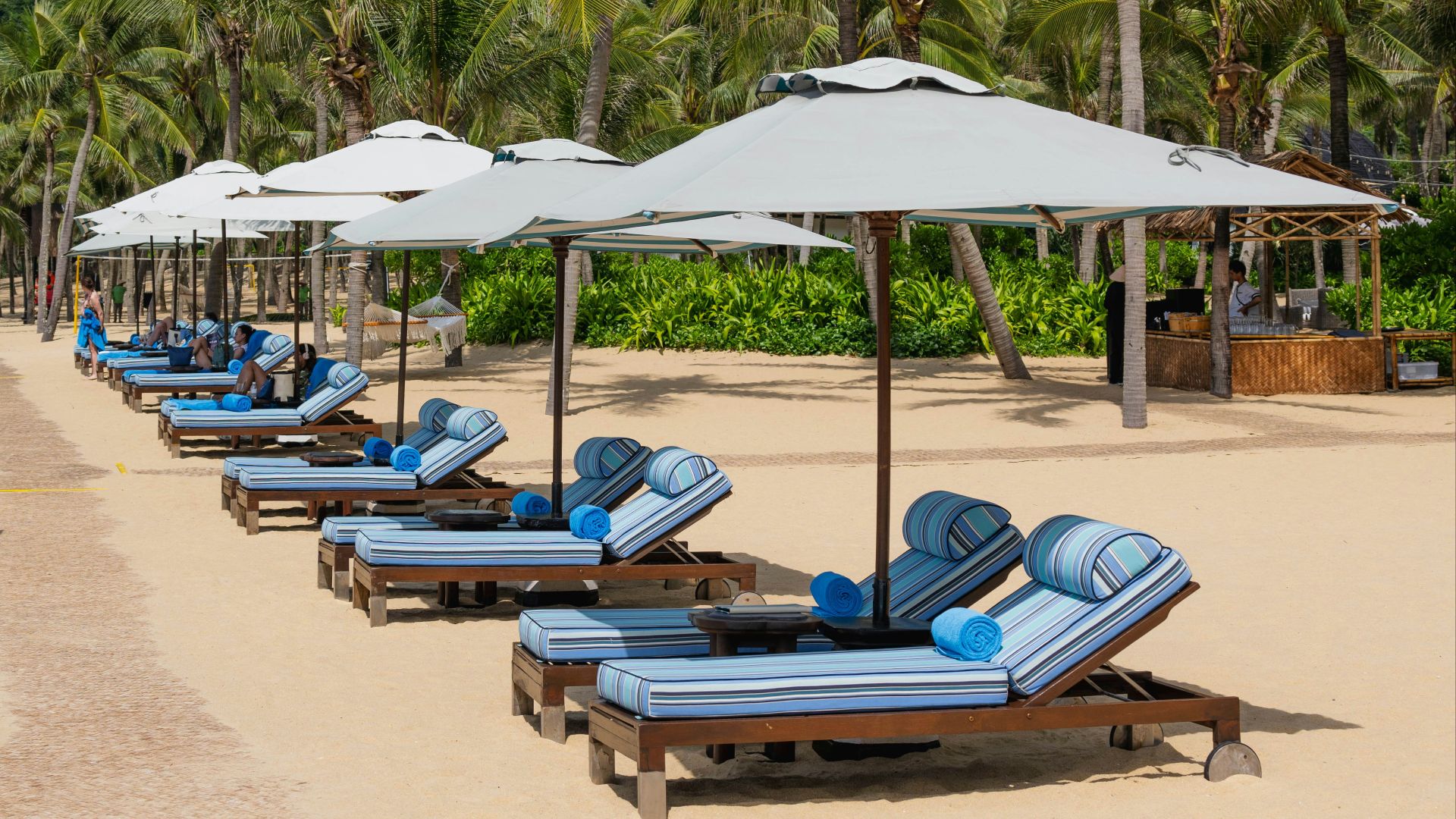 a row of lounge chairs sitting on top of a sandy beach