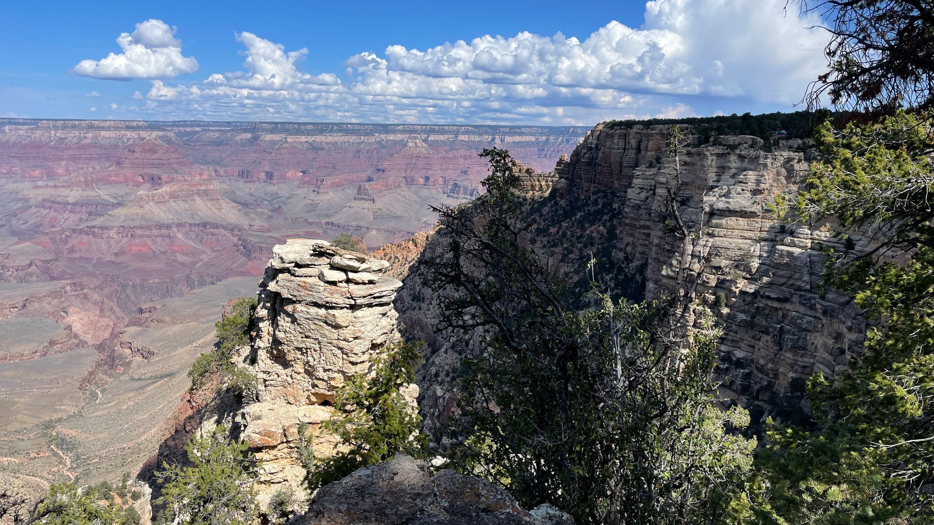 A view of the Grand Canyon from the Southern Rim
