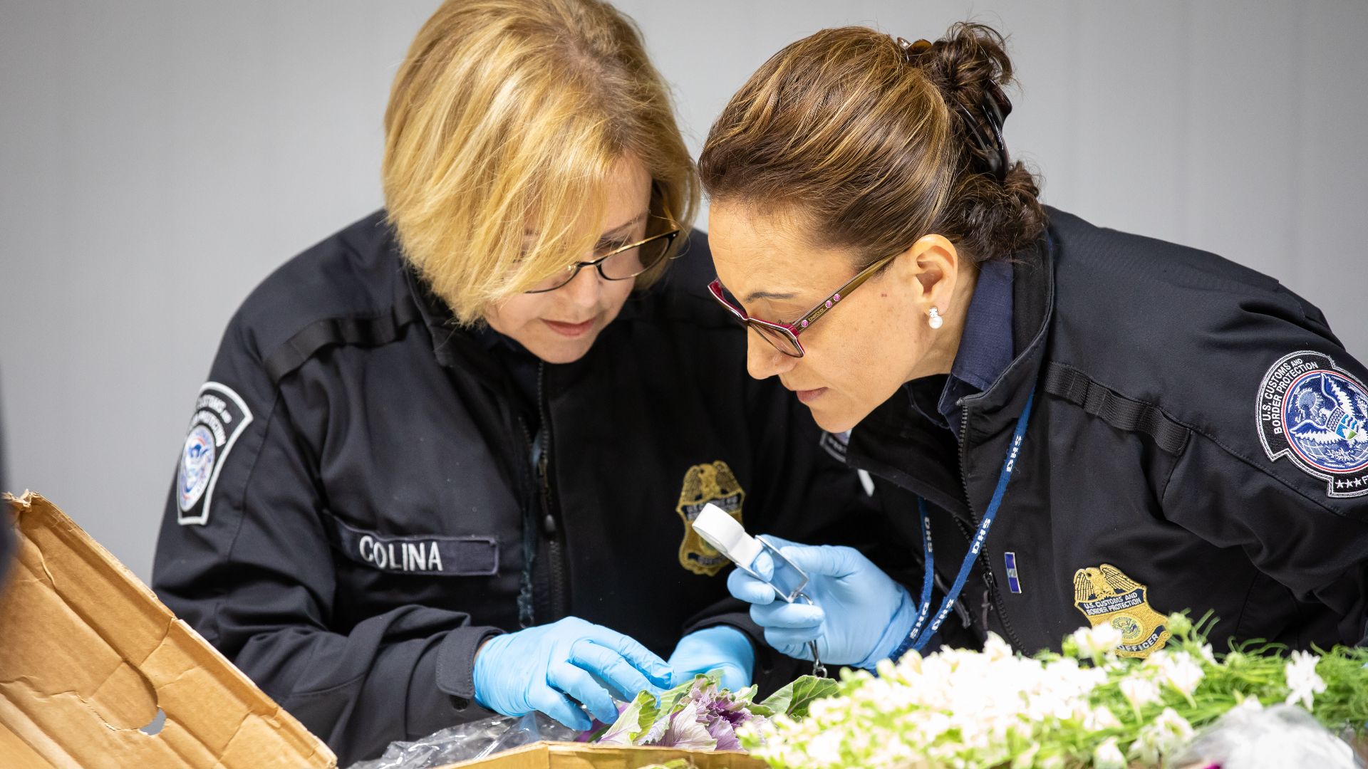 U.S. Customs and Border Protection agriculture specialists have been inspecting rising numbers of cut flower shipments prior to Valentine's Day in Miami, Florida, February 11, 2019.  Miami receives 90% of the cut flowers for the entire United States.  Pho