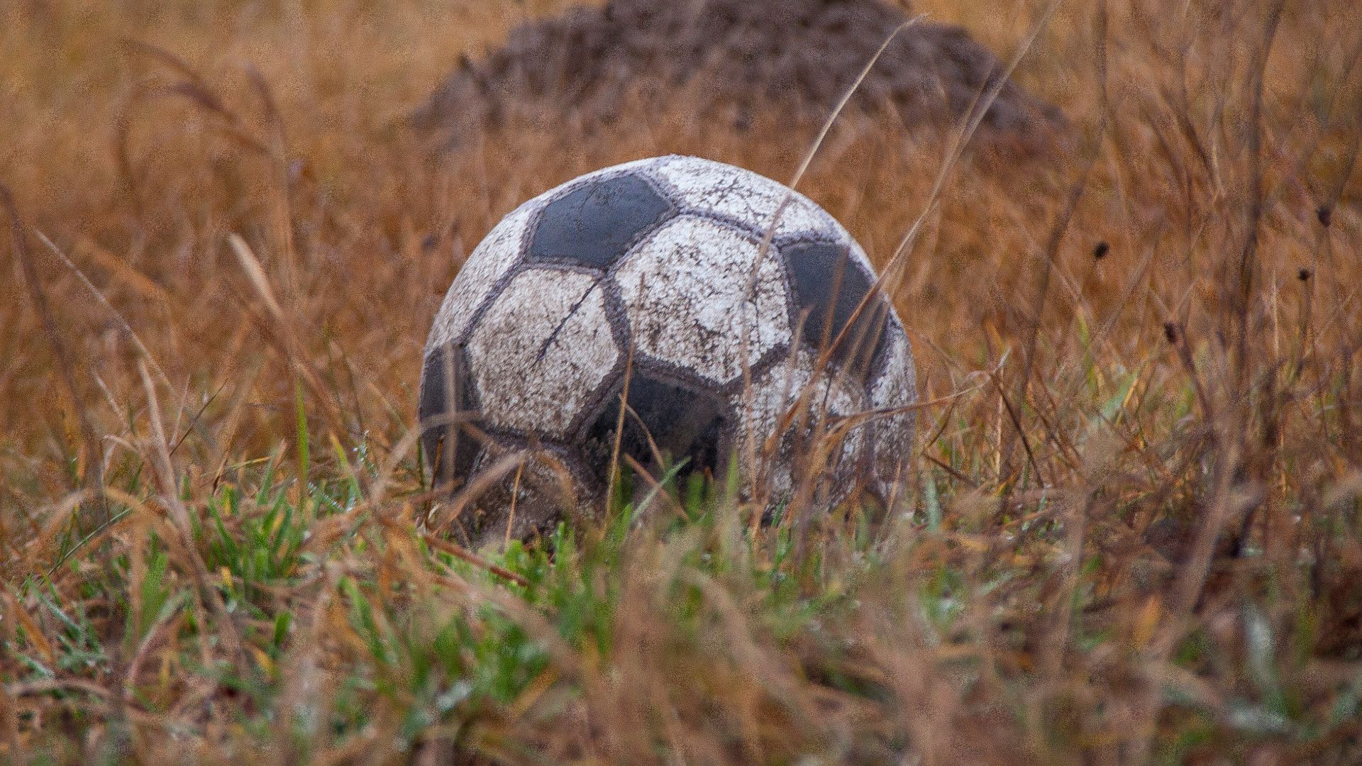 white and black soccer ball on brown grass field during daytime