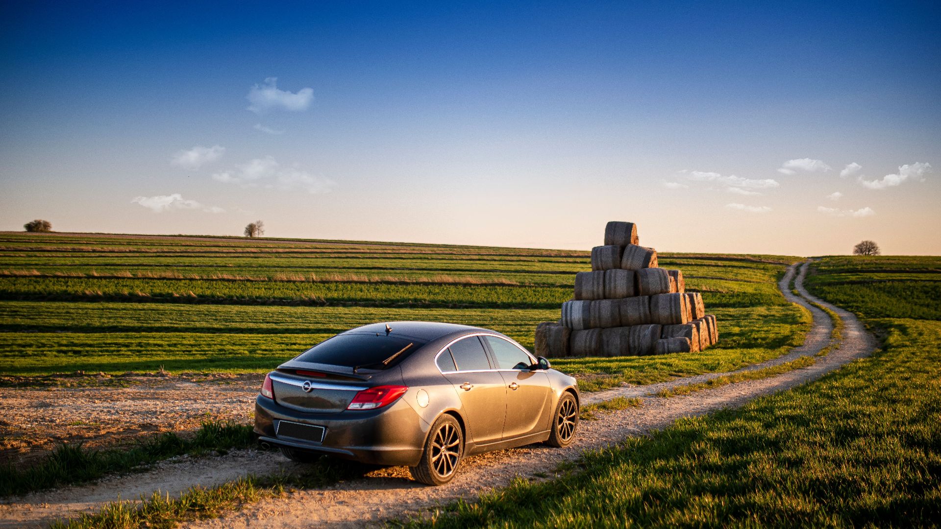 Modern automobile standing on empty road in green meadow surrounded by grass under blue sky in daylight